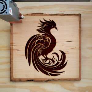 47607_wood-laser-1.jpg