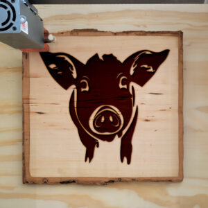 47611_wood-laser-1.jpg