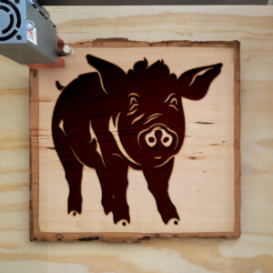 47615_wood-laser-1.jpg