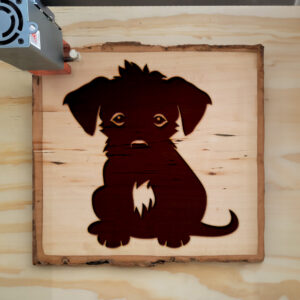 47625_wood-laser-1.jpg
