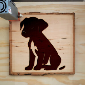 47627_wood-laser-1.jpg