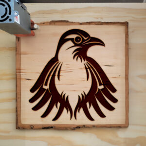 47645_wood-laser-1.jpg