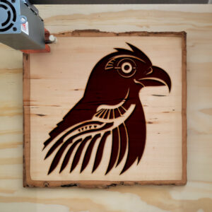 47647_wood-laser-1.jpg