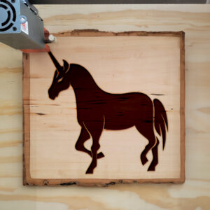 47668_wood-laser-1.jpg