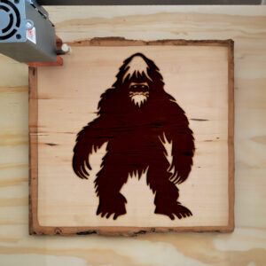 47687_wood-laser-1.jpg