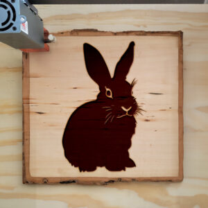 47689_wood-laser-1.jpg
