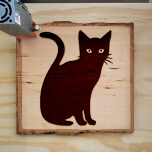 47699_wood-laser-1.jpg