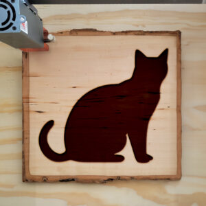 47701_wood-laser-1.jpg