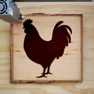47705_wood-laser-1.jpg