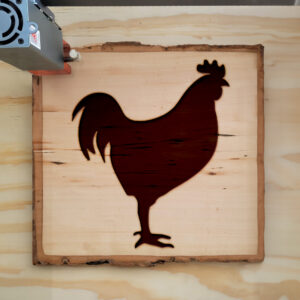 47709_wood-laser-1.jpg