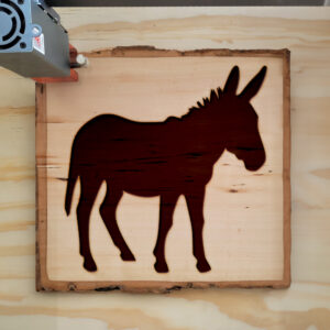 47726_wood-laser-1.jpg