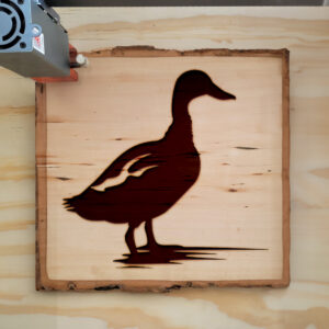 47730_wood-laser-1.jpg