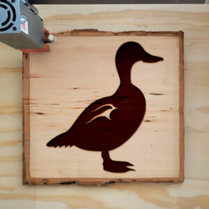 47732_wood-laser-1.jpg