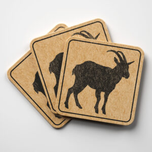 47734_coaster-1.jpg