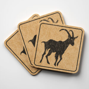 47736_coaster-1.jpg
