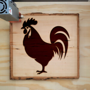 47768_wood-laser-1.jpg