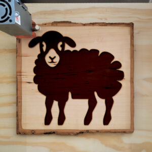 47770_wood-laser-1.jpg