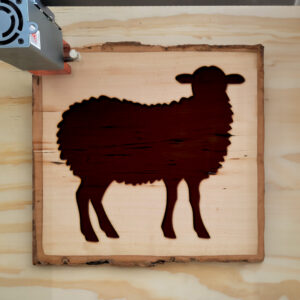 47772_wood-laser-1.jpg