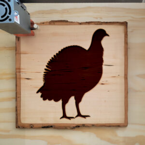 47776_wood-laser-1.jpg