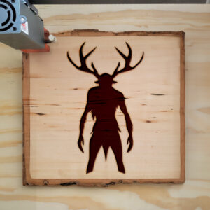 47784_wood-laser-1.jpg