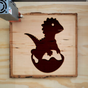 47790_wood-laser-1.jpg