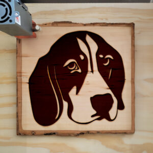47792_wood-laser-1.jpg