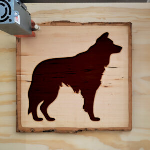 47802_wood-laser-1.jpg