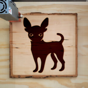 47822_wood-laser-1.jpg
