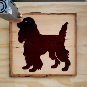 47828_wood-laser-1.jpg