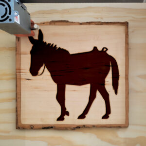 47834_wood-laser-1.jpg