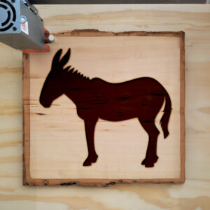 47839_wood-laser-1.jpg