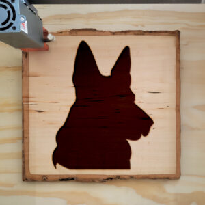 47843_wood-laser-1.jpg