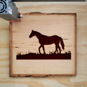47861_wood-laser-1.jpg