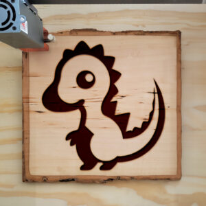 47873_wood-laser-1.jpg