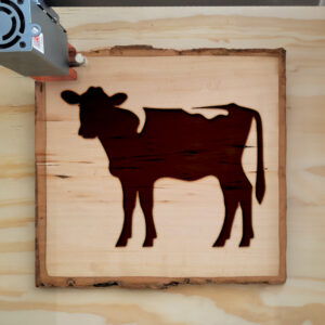 47881_wood-laser-1.jpg