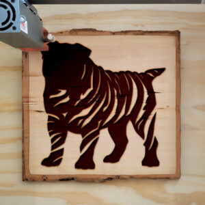 47887_wood-laser-1.jpg
