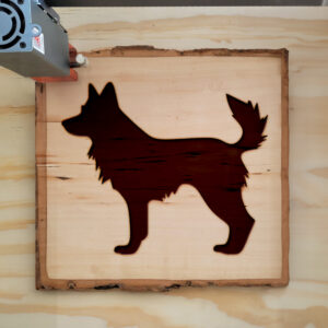47909_wood-laser-1.jpg