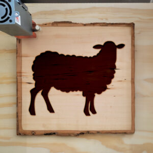 47911_wood-laser-1.jpg