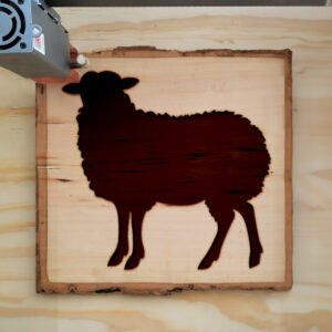 47915_wood-laser-1.jpg