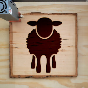 47917_wood-laser-1.jpg