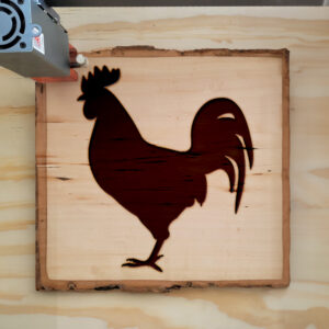 47923_wood-laser-1.jpg