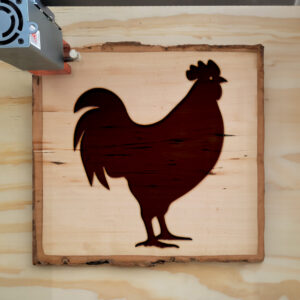 47925_wood-laser-1.jpg