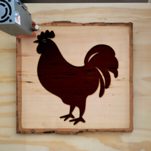 47929_wood-laser-1.jpg