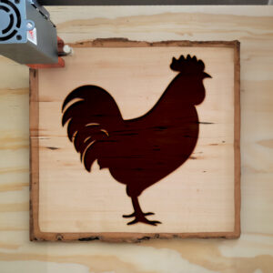 47931_wood-laser-1.jpg