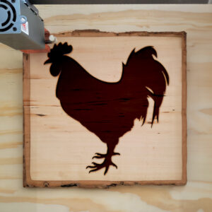 47935_wood-laser-1.jpg