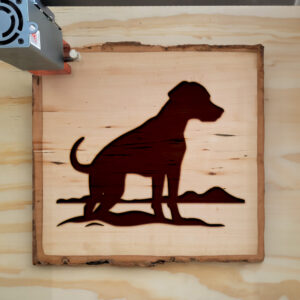 47945_wood-laser-1.jpg