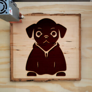 47949_wood-laser-1.jpg