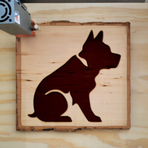 47951_wood-laser-1.jpg