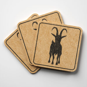 47955_coaster-1.jpg