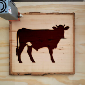 47961_wood-laser-1.jpg